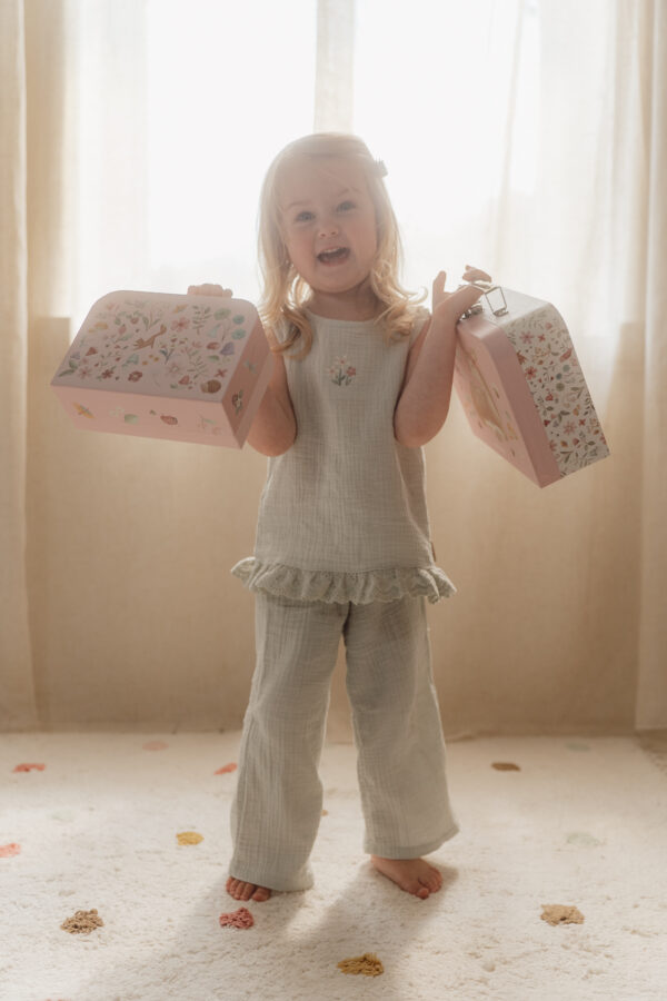 Suitcases Fairy Garden FSC